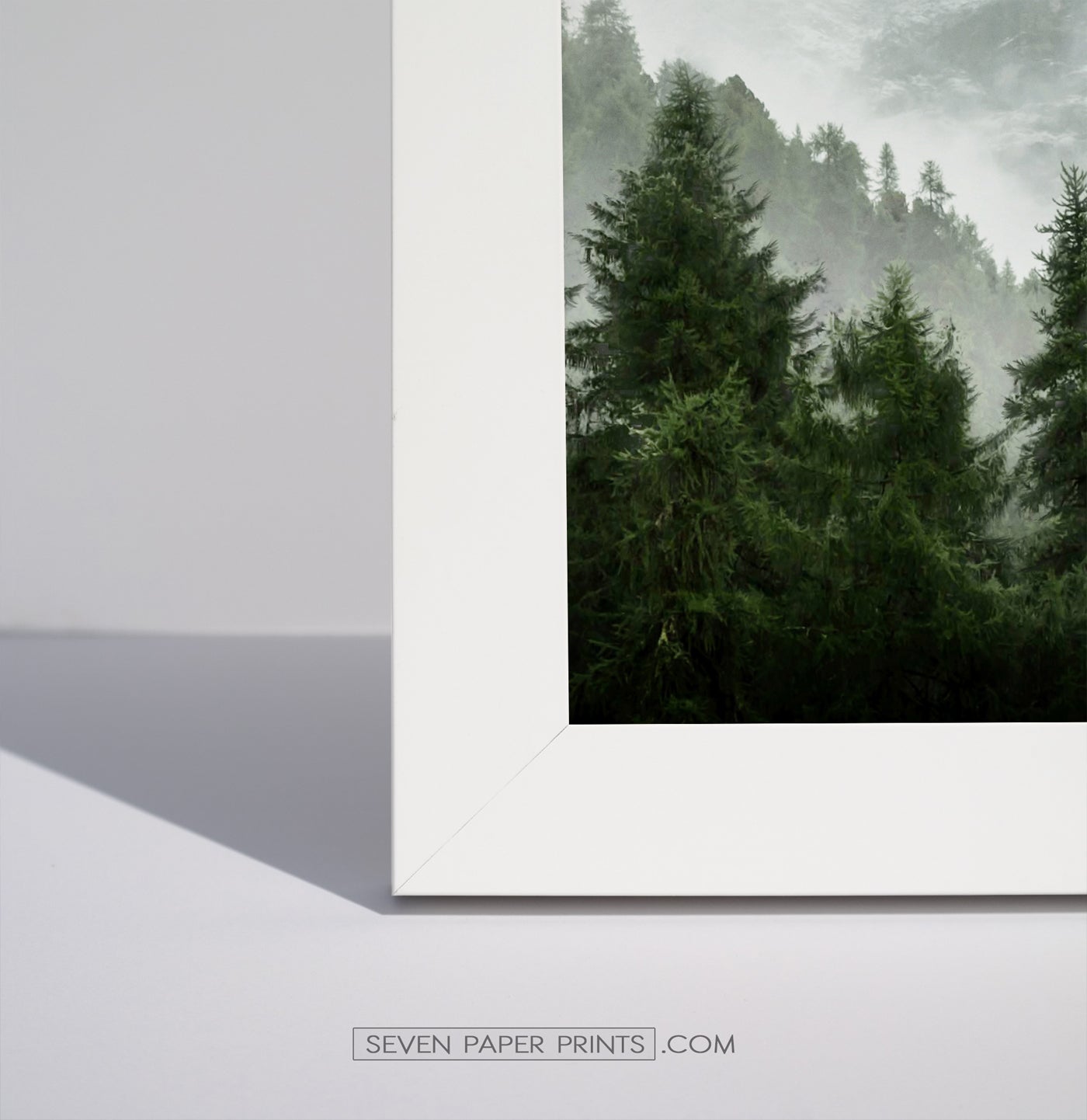 A corner of a white frame