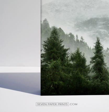 Green forest set of 3 canvas wall art #218