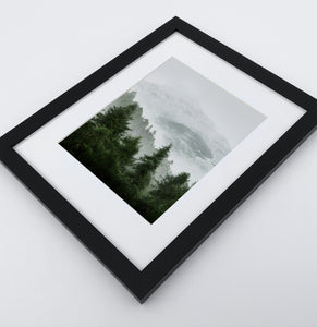 A photo print of a forest