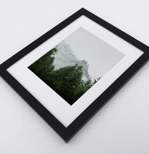 A photo print of a forest