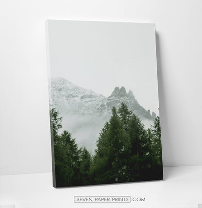 Green forest set of 3 canvas wall art #218