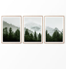 Load image into Gallery viewer, Pine Trees on Foggy Mountain Landscape Set of 3 Posters
