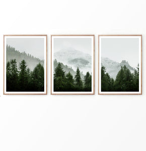 Pine Trees on Foggy Mountain Landscape Set of 3 Posters