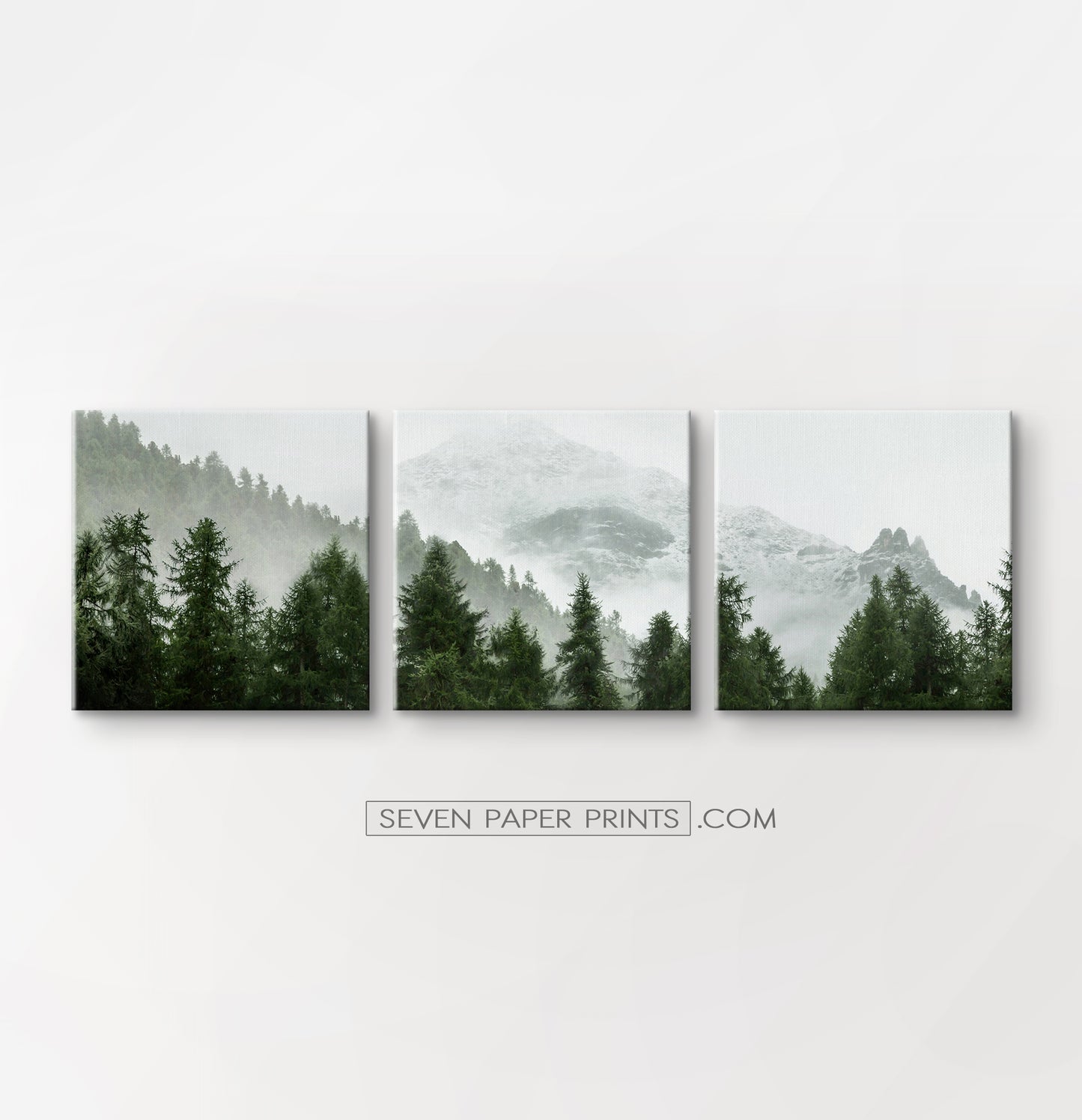 Green forest set of 3 canvas wall art #218