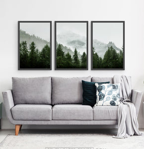 Three photo prints of a forest 3