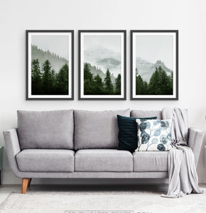 Three photo prints of a forest 1