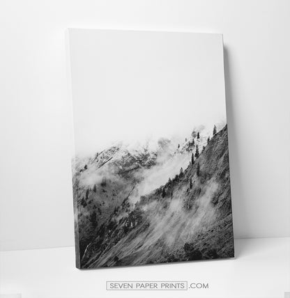 Black white mountains. 3 canvases #219