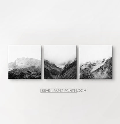 Black white mountains. 3 canvases #219