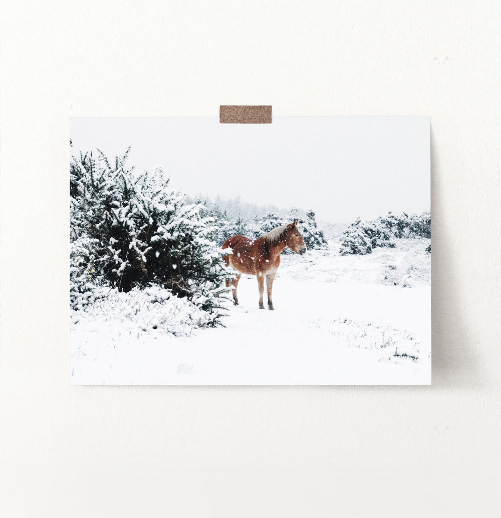 Horse in a snowy landscape wall art
