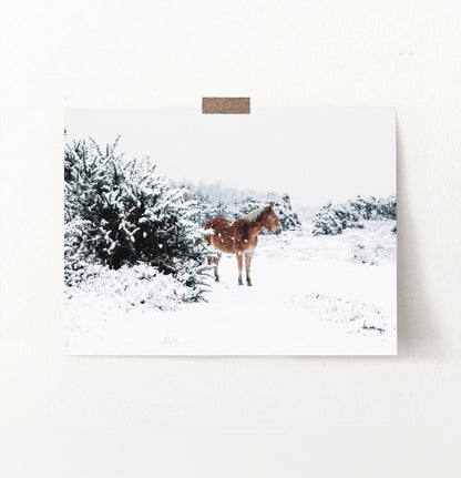 Horse in a snowy landscape wall art