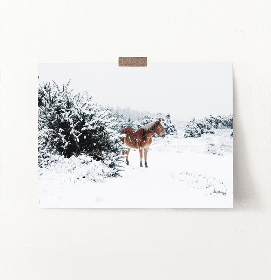 Horse in a snowy landscape wall art