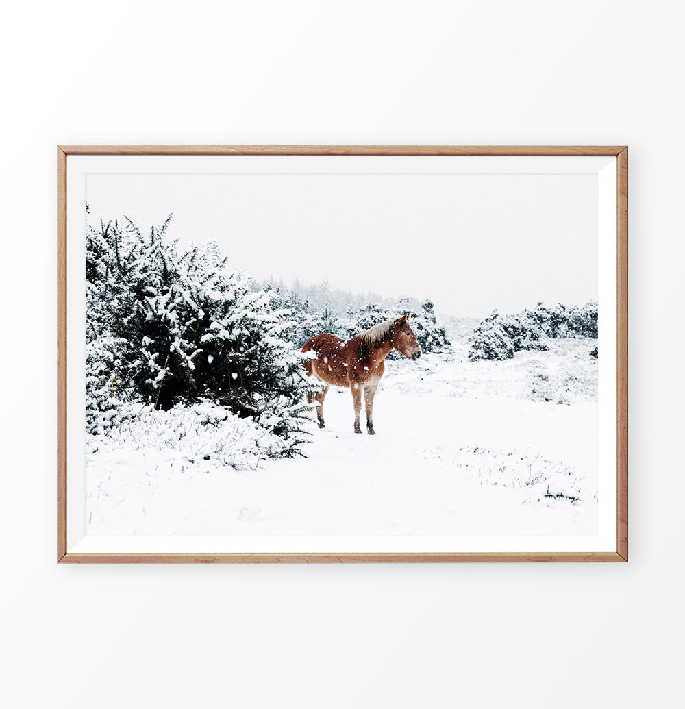 Horse in a snowy landscape wall art in a wooden frame