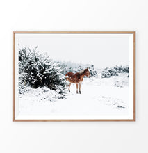 Load image into Gallery viewer, Horse in a snowy landscape wall art in a wooden frame
