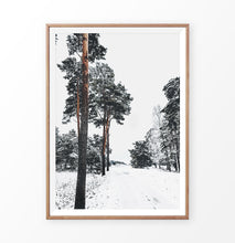 Load image into Gallery viewer, Pine Forest Snowy Road Poster

