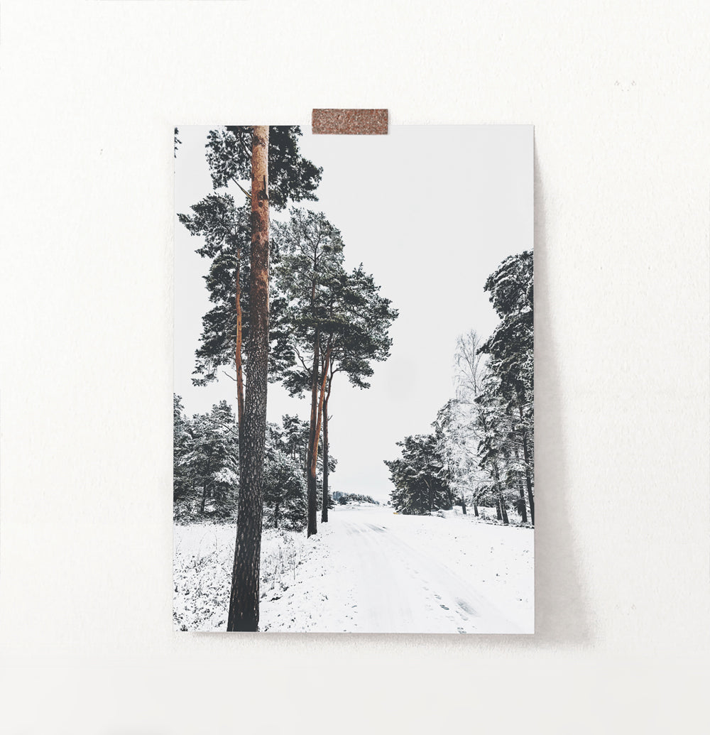 Pine Forest Snowy Road Poster