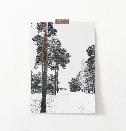 Pine Forest Snowy Road Poster