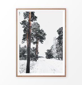 Pine Forest Snowy Road Poster