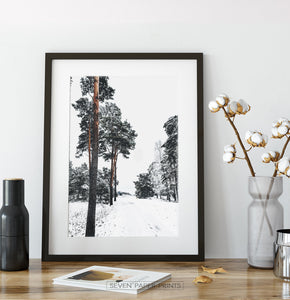 Pine Forest Snowy Road Poster