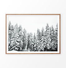 Load image into Gallery viewer, Wooden-framed Winter Spruce Grove Landscape Photo Art Decoration
