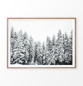 Wooden-framed Winter Spruce Grove Landscape Photo Art Decoration