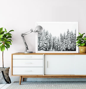 White-framed Winter Spruce Grove Landscape Photo Art Decoration