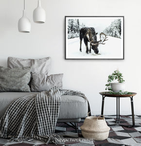 A moose on a snowy forest road photo print in a black frame haning on a bedroom wall