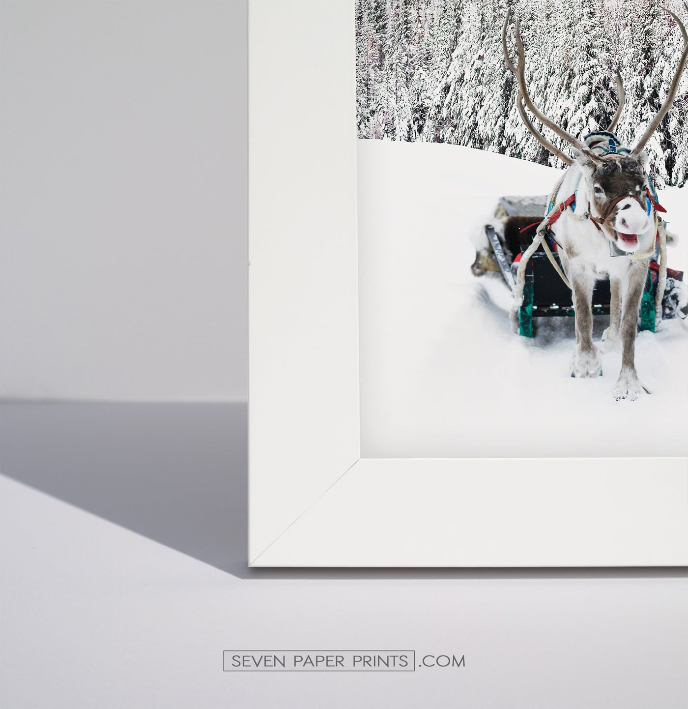 A corner of a white frame