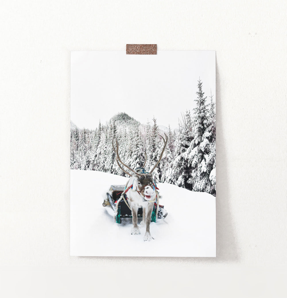 Christmas Sleigh Reindeer In Snowy Forest Wall Decor