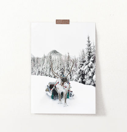 Christmas Sleigh Reindeer In Snowy Forest Wall Decor