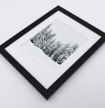 Load image into Gallery viewer, A photo print of a showy forest
