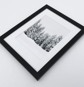 A photo print of a showy forest