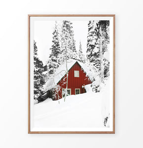 Wood-Framed Snow-Padded House Under Winter Spruces Poster