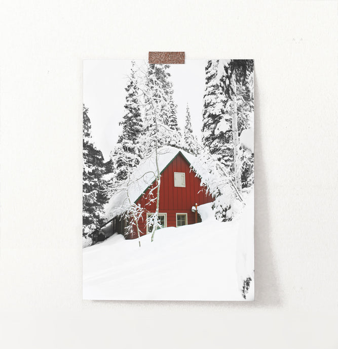 Snow-Padded House Under Winter Spruces Poster