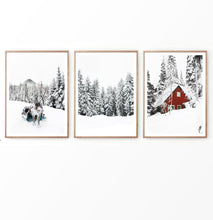 Load image into Gallery viewer, Reindeer  In Snowy Pine Forest Set of 3 Christmas Photos
