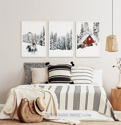 Three photo prints of a showy forest with a deer and a house