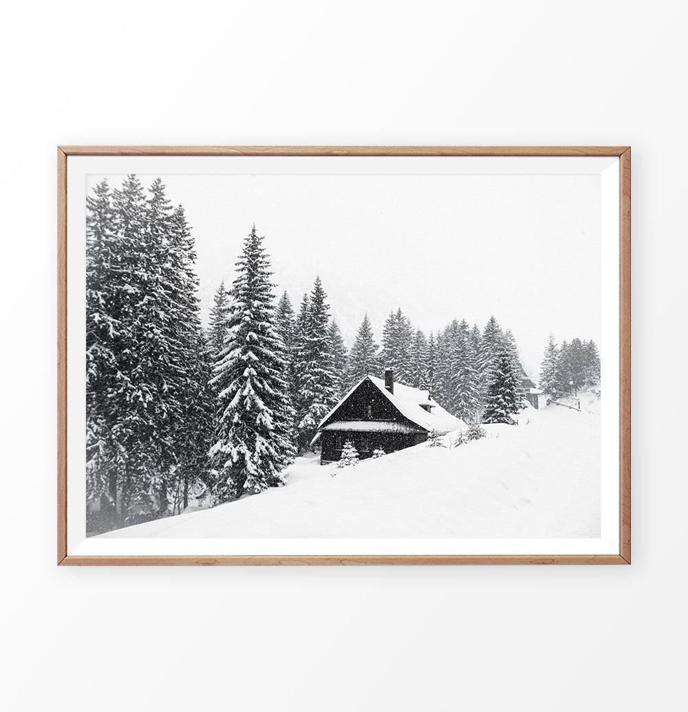 Lovely Shack On Snowy Hill And Spruce Print