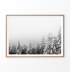 Wood-framed Winter Forest Valley Covered in Snow Photo Print