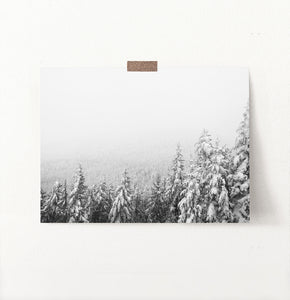 Winter Forest Valley Covered in Snow Photo Print