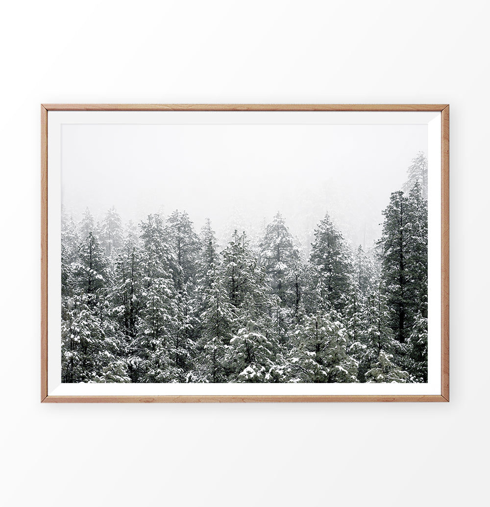 Wooden-framed Snowy Winter Spruce Woods Poster