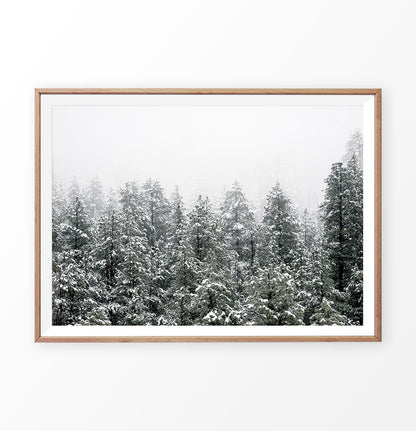 Wooden-framed Snowy Winter Spruce Woods Poster