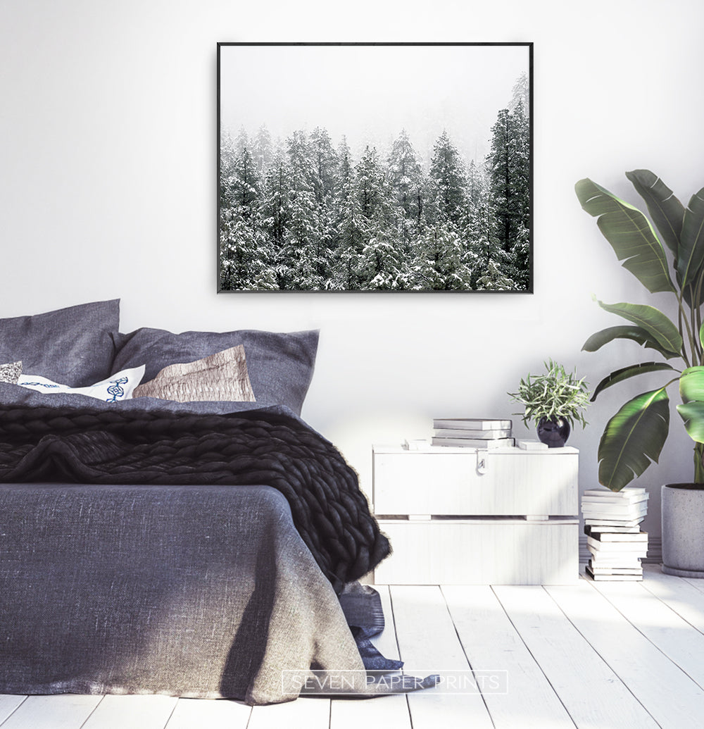Black-framed Snowy Winter Spruce Woods Poster