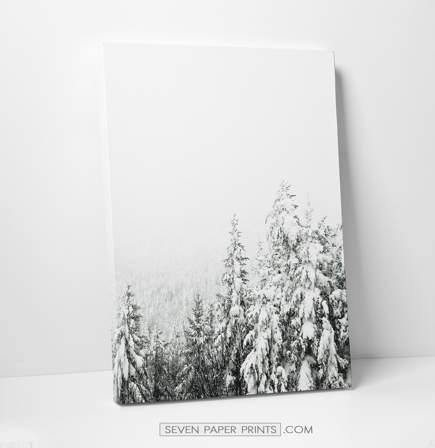 6 Piece Canvas Winter Themed Wall Decor