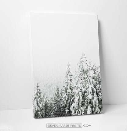 6 Piece Canvas Winter Themed Wall Decor