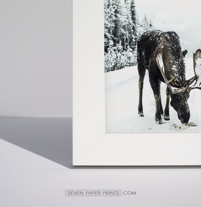 Winter Set of 6 Wall Art. Moose, Reindeer, Snowy Forest