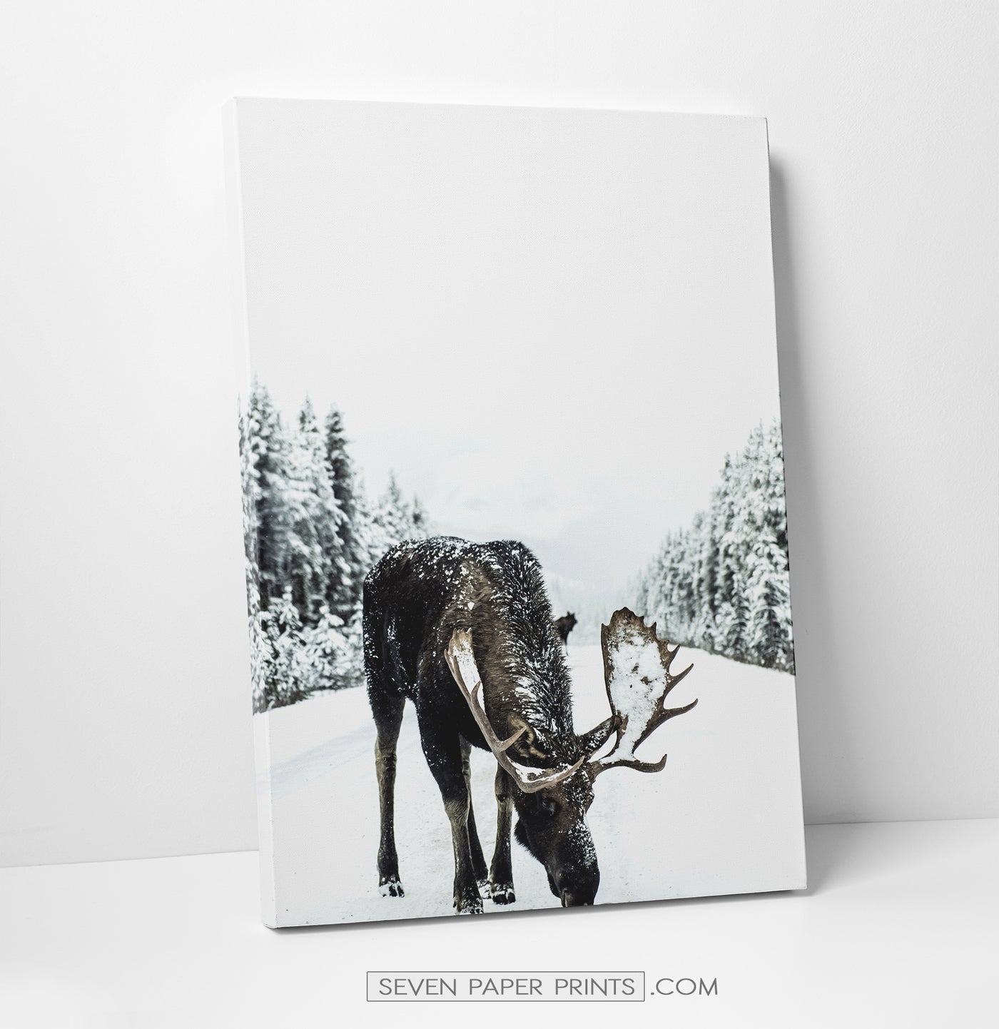 6 Piece Canvas Winter Themed Wall Decor