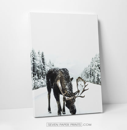 6 Piece Canvas Winter Themed Wall Decor