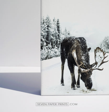 6 Piece Canvas Winter Themed Wall Decor