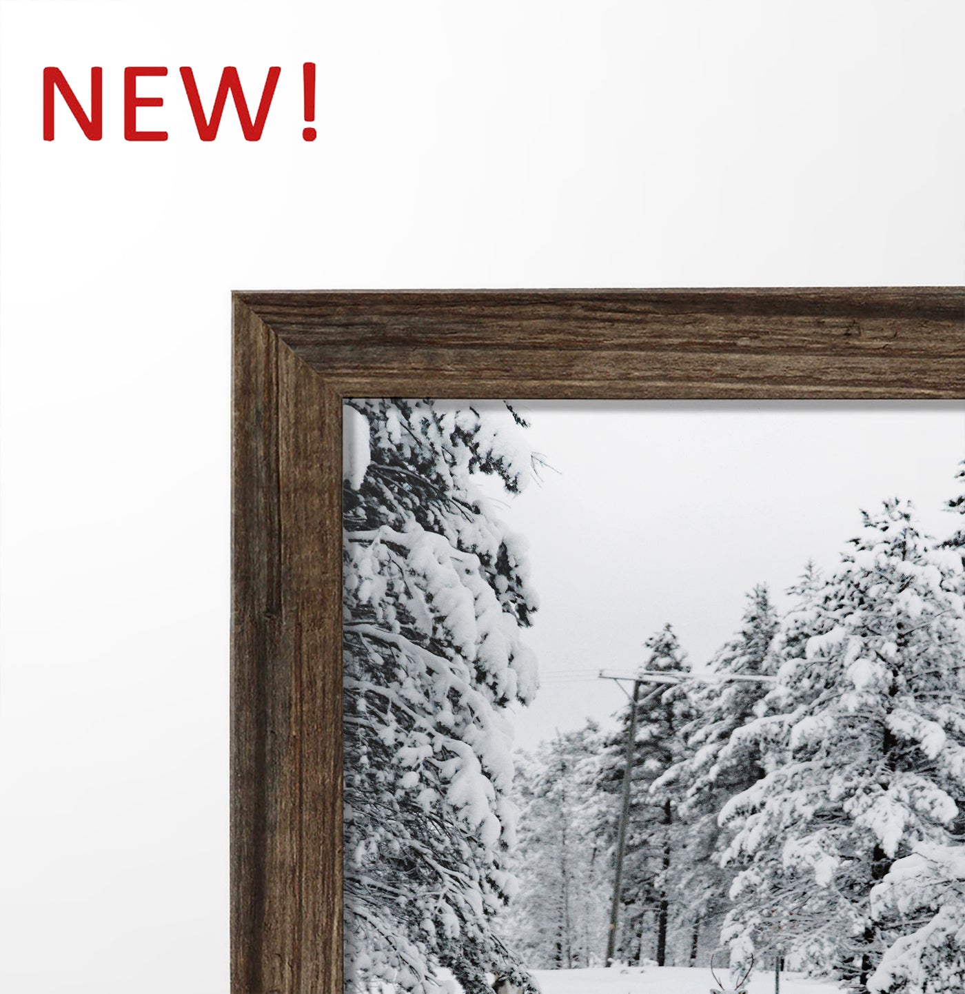 Winter Set of 6 Wall Art. Moose, Reindeer, Snowy Forest