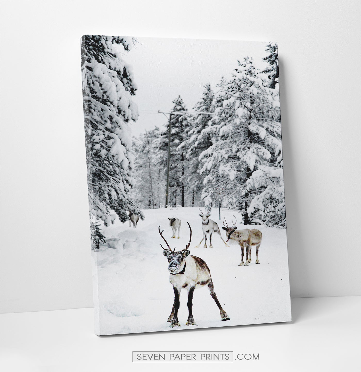6 Piece Canvas Winter Themed Wall Decor