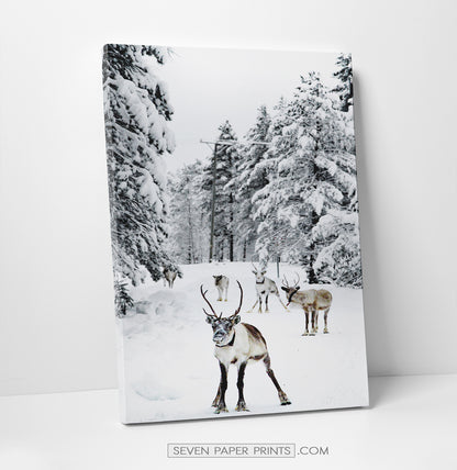 6 Piece Canvas Winter Themed Wall Decor